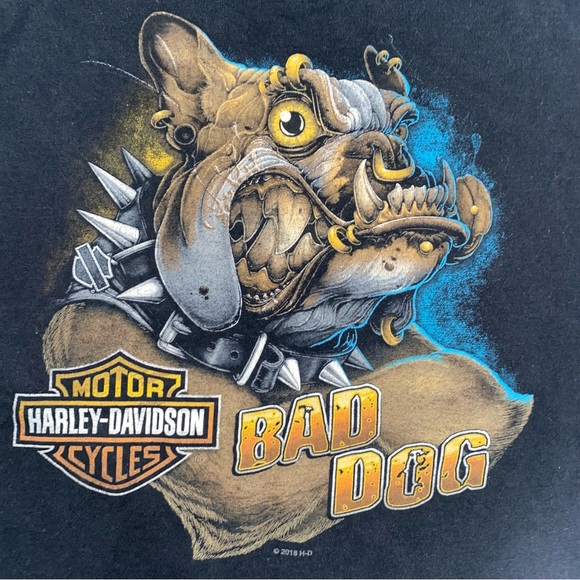 Harley Davidson Bad Dog Bowling Green KY Motorcycle Biker T Shirt Sz M - Picture 6 of 9
